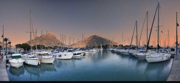 Loft Marina Direct Plage Lägenhet Villeneuve-Loubet Exteriör bild